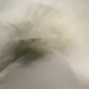 HOI リンカのプロフィール画像