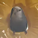 池袋/板橋 マツモトのプロフィール画像