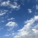 Bianca Takeshitaのプロフィール画像