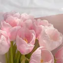 【LoE】阿倍野｜ 古川 乃愛🌷のプロフィール画像