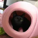 オーナー ネイリストのプロフィール画像