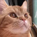 BLEA 高岡店 大門のプロフィール画像