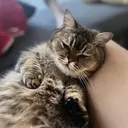 Alra- ヒナタのプロフィール画像