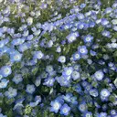 Bianca 武蔵小金井🫧たなかのプロフィール画像