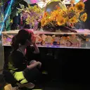 ツカモト ナナミのプロフィール画像