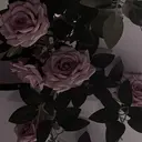 蒼 純のプロフィール画像
