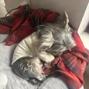 竹下 未奈のプロフィール画像