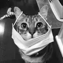 Ota Eriのプロフィール画像