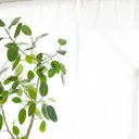 体質改善に特化した パーソナルサロン88のプロフィール画像