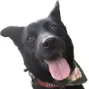 SUZUKA ☻ EYE/天王寺のプロフィール画像