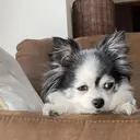 BROCANTE立川 karasawa.nのプロフィール画像