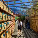 鈴木 杏実のプロフィール画像