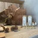 rento 南堀江のプロフィール画像