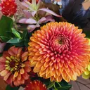 岩瀬 未来のプロフィール画像