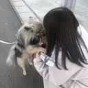 山崎 和花のプロフィール画像