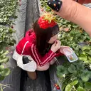 B☆STAR YUME🍓のプロフィール画像