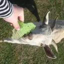 渡辺 瑠唯のプロフィール画像