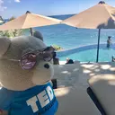 心斎橋boudoir chiharuのプロフィール画像