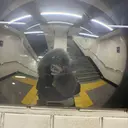 喜久村 羽空のプロフィール画像