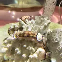 井澤 久美子のプロフィール画像