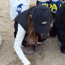 SU ZUのプロフィール画像