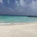 【艶髪】【髪質改善】 SHUHEIのプロフィール画像