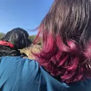 Favori 二宮のプロフィール画像