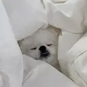 Lottynail 🫧Yuunaのプロフィール画像