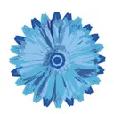 PERSONAL BEAUTY🪻のプロフィール画像