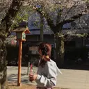 Maia Aikiのプロフィール画像