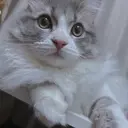 mico. 【ミコ】 まつだのプロフィール画像