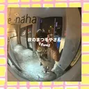 夜のまつ毛屋さん 那覇/まつぱ/激安のプロフィール画像