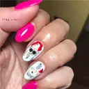 西畠 真由美のプロフィール画像