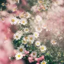 ルミエナ銀座 TAGUCHIのプロフィール画像