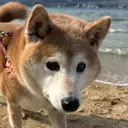 aya hair 水上のプロフィール画像