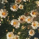 タカハシ ☺︎のプロフィール画像