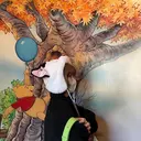 梅沢 優羽のプロフィール画像