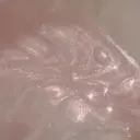 Fiara しま🎀のプロフィール画像