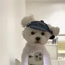 韓国/レイヤーカット 髪質改善特化のプロフィール画像