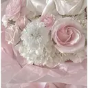 野崎 あゆみのプロフィール画像