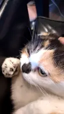 青木 健二のプロフィール画像