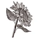 笹掛 未帆のプロフィール画像