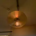 山本 真綺のプロフィール画像