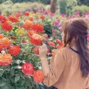 アルターエクラ ⟡.🎼 mikiのプロフィール画像