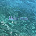 Danno Shihoのプロフィール画像