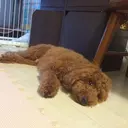 みうら ミウラのプロフィール画像