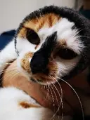 石渡 美弥のプロフィール画像