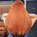 Petila🐈‍⬛ Mayuriのプロフィール画像