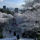 カラーモデル募集中 けんせいのプロフィール画像