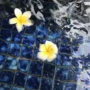 Kitajima Rのプロフィール画像